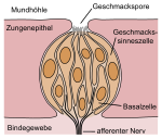 Neue Vektorgrafik