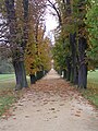 Allée dans le parc du château