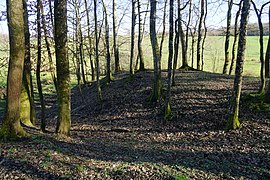 Un long monticule recouvert par les arbres.