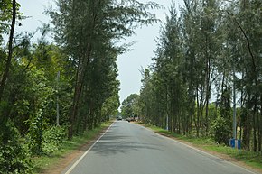 Contai-Digha Road - NH 116B - East Midnapore 2015-05-02 9319.JPG