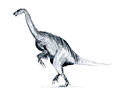 Erlikosaurus