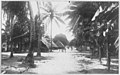 Image 10Main Street in Funafuti, (circa 1905). (from History of Tuvalu)