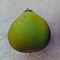 Green fruit