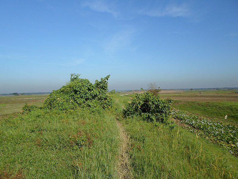 File:Harikhali shaidpore road - panoramio (1).jpg