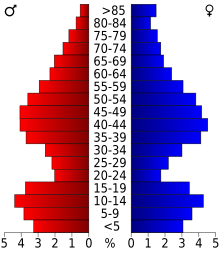 Schéma représentant la population du comté, par tranche d'âge. En rouge, à gauche, les femmes, en bleu à droite, les hommes.