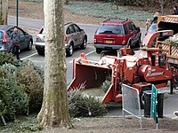 Woodchipping Christmas trees