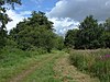 Mayford Meadows