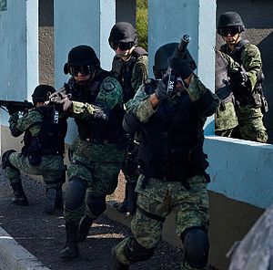 Meksikon sotilaat jäljittämässä rikollisia vuonna 2010.