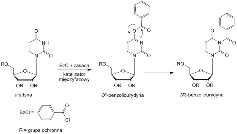 File:Benzoilowanie urydyny.png