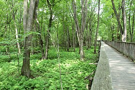 Parc écologique de l'Anse du Port.