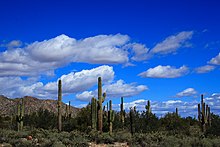 White Clouds over the White Tanks.jpg