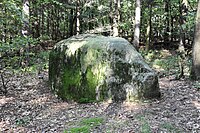 Findling „Opferstein Dalumer Brotschapp“ in Bippen