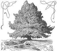 Om Yggdrasil by Frølich.jpg