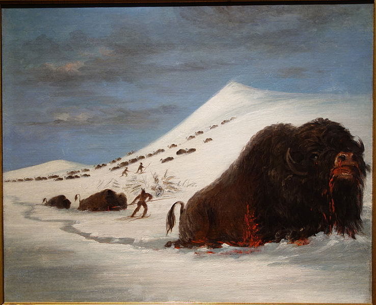 File:Buffalo Hunt in Snow Shoes by George Catlin, undated, oil on canvas - New Britain Museum of American Art - DSC09169.JPG