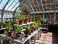 Conservatory Interior