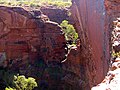 "Kings_Canyon_Gorge.jpg" by User:Albinfo