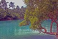 Sebuah teluk yang berukuran kecil di Tubabao Island