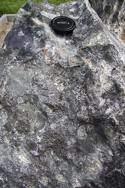 File:Tonalite in Geopark on Albertov (2).JPG