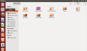 Ubuntu 13.04 Unity čállinbeavdi davvisámegiella