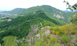 Il monte Osesa visto dal castello