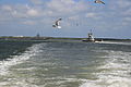 Ferries making trip from Ocracoke to Hatteras, June 2007