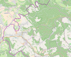 Mapa konturowa Kudowy-Zdroju, po lewej nieco na dole znajduje się punkt z opisem „Słone”