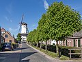 Willemstad, moulin (d´Orangemolen) dans la rue