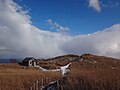 ススキが生い茂る山頂付近。