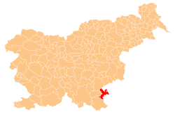 Location of the Municipality of Metlika in Slovenia