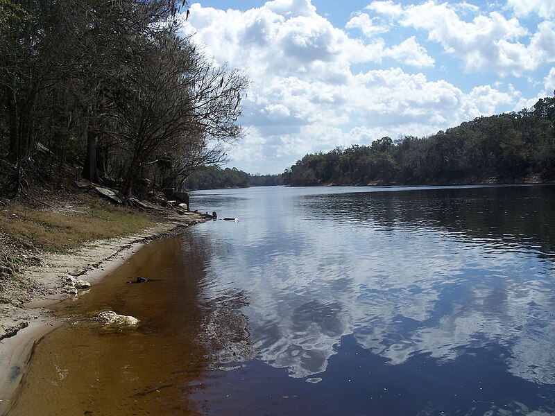 File:Branford FL Suwannee River south02.jpg