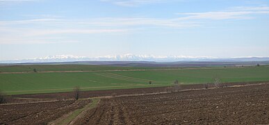 Danubian Plain (Bulgaria)