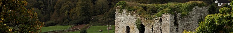 File:Thomastown banner Grennan Castle.jpg