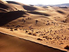 Januar 2007: Dünen der Namib-Wüste in der Abendsonne (Namibia)