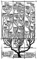 "Monophyletic tree of organisms"