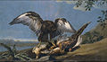 Aquila con uccelli morti (1774)