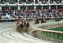 BreedersCupClassic2007-CurlinFirstTurn.jpg