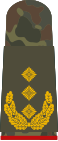 Generalleutnant (sut tempur)