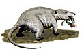 Triconodonts