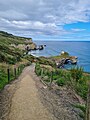 Tunnel Beach Track. December 2021