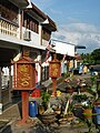 Houses with national flag