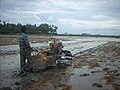 A view of paddy field from Thrissur district