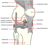 Knee diagram-de.svg