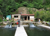 A communal Zapotec fish farm in Ixtlán de Juárez, Oaxaca, Mexico.