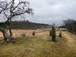 Gravfältet Örelids stenar bakom Tjärby kyrka