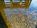 View of water with sediments and garbage underneath Oleta River bridge