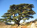 Barouk, Lebanon