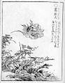 Sōgenbi (ja:叢原火) Sekien's comments: It can be found in the west of Saiin outside the capital, near Mibudera temple. It is also called Sōgenbi of Suzaku.