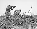 A marine of the U.S. 1st Marine Division during the Battle of Okinawa (left with Thompson M1, right with BAR, 1945