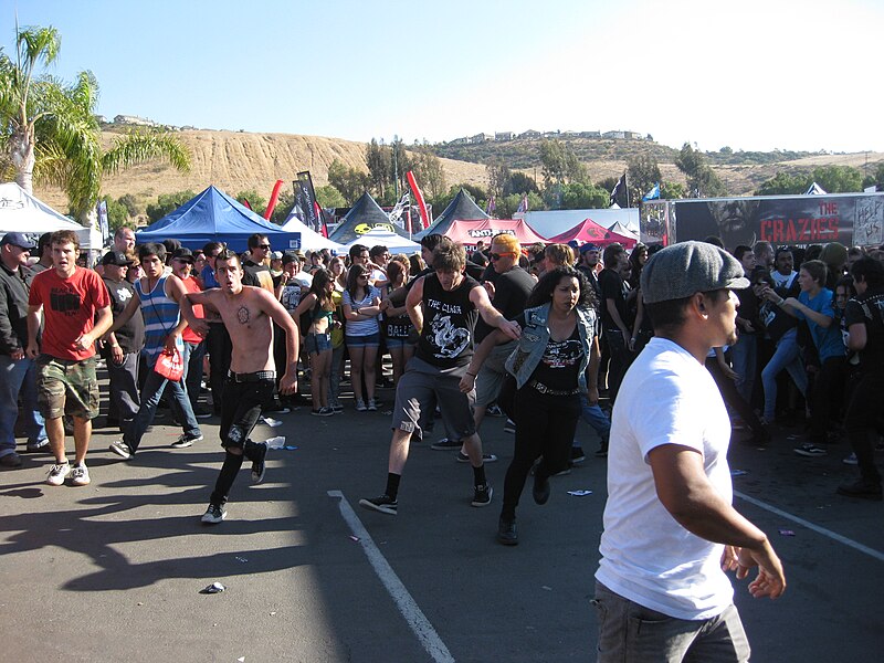 File:Warped Tour moshing 2010-08-10 03.jpg