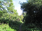Coppetts Wood path
